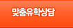 맞춤유학상담